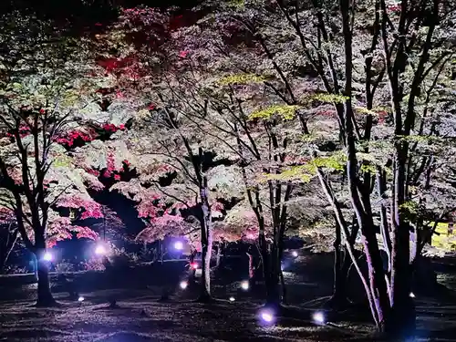 土津神社｜こどもと出世の神さまの景色