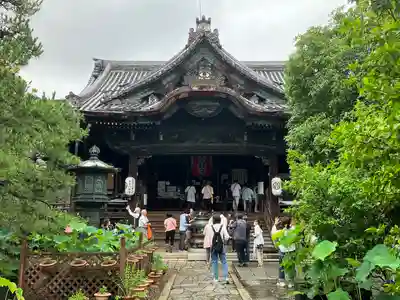 行願寺(革堂)の本殿・本堂