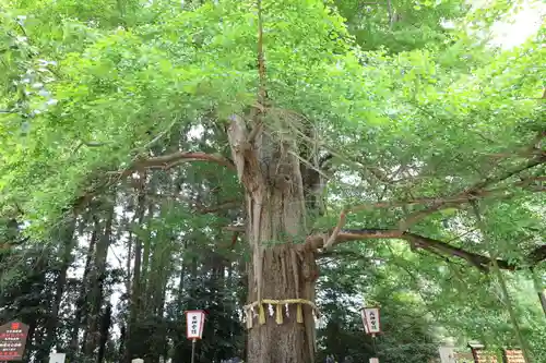 水戸八幡宮(茨城県)