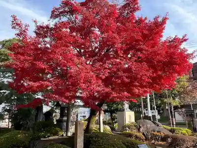 喜多院(埼玉県)