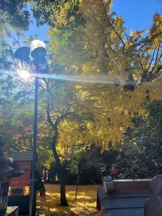 冠稲荷神社の自然