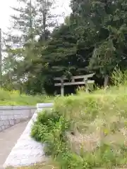 神社(名称不明)の鳥居