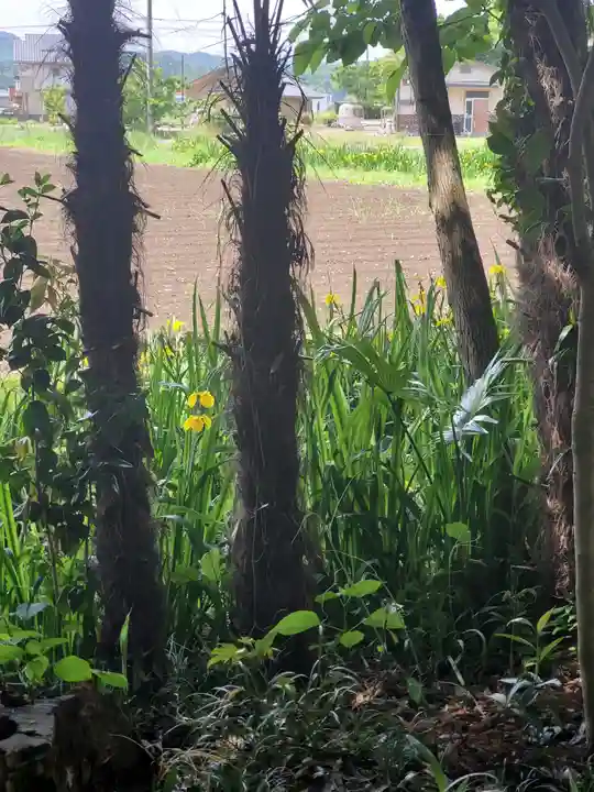 三日月神社(栃木県)