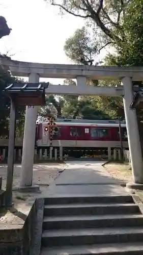 沢田八幡神社の鳥居