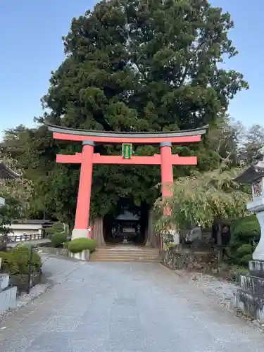 河口浅間神社の鳥居