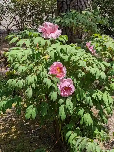 建仁寺（建仁禅寺）(京都府)
