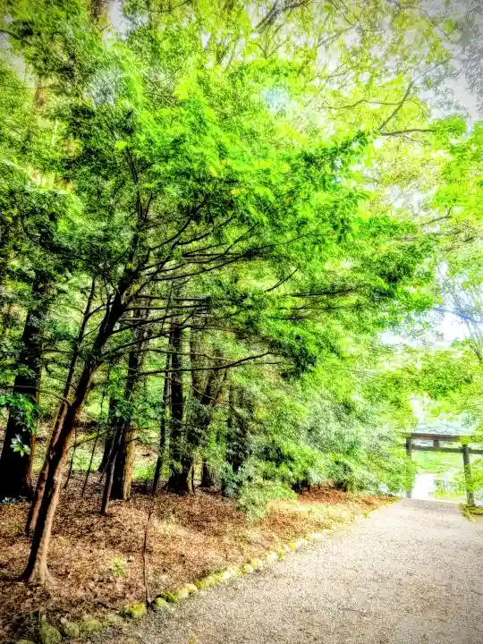 槵觸神社(宮崎県)