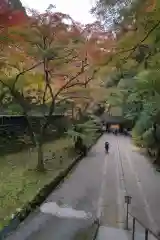 香積寺(愛知県)