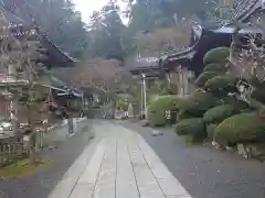 最乗寺（道了尊）の庭園