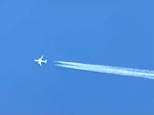 白鳥神社(長野県)