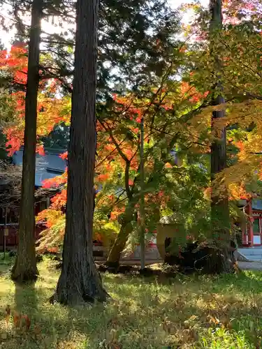 冨士御室浅間神社の自然