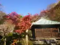 浄光明寺の自然