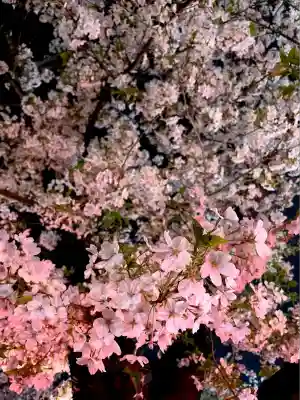 上目黒氷川神社(東京都)