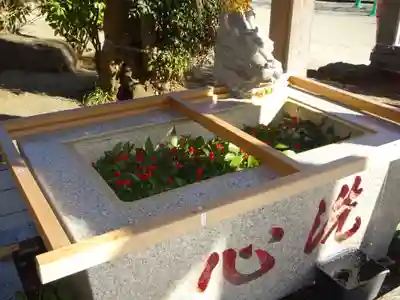 比々多神社の手水舎