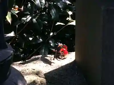 堂塔寺(福岡県)