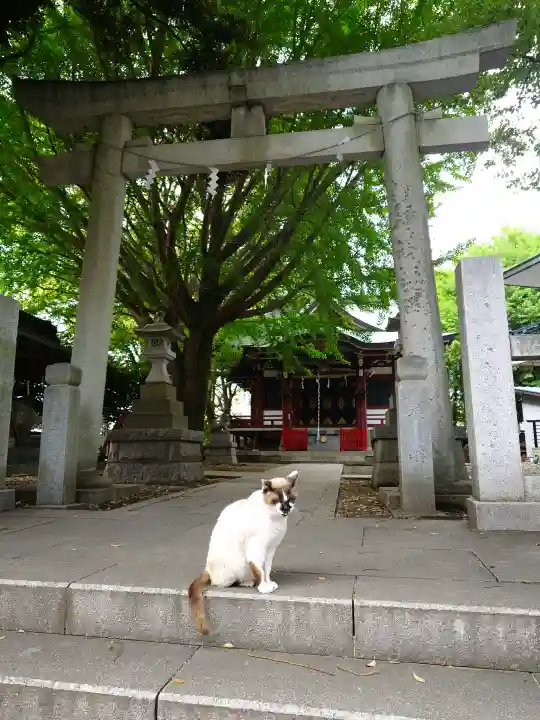小金八坂神社の{uncategorized: "未分類", other: "その他", undefined: "問題あり", building: "その他建物", grave: "お墓", sacred_gate: "鳥居", guardian: "狛犬", statue: "像", buddha: "仏像", history: "歴史", nature: "自然", garden: "庭園", animal: "動物", pagoda: "塔", temizu: "手水舎", mountain_gate: "山門・神門", sanctuary: "本殿・本堂", subordinate: "末社・摂社", art: "芸術", scenery: "景色", jizo: "地蔵", ema: "絵馬", goshuin: "御朱印", omikuji: "おみくじ", items: "授与品その他", amulet: "お守り", goshuincho: "御朱印帳", eats: "食事", festival: "お祭り", votive_dance: "神楽", shichigosan: "七五三参", wedding: "結婚式", experience: "体験その他", initially: "初詣", around: "周辺", anti_infection: "感染症対策"}