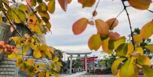 總社 和田八幡宮の建物その他