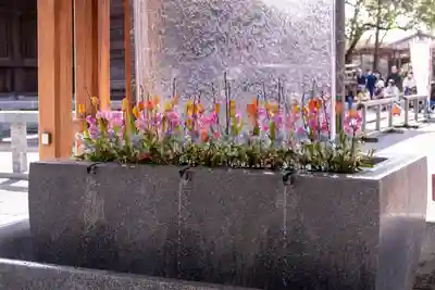宮地嶽神社(福岡県)