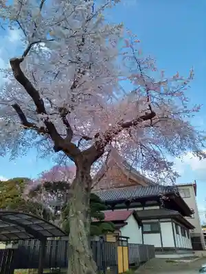 道仁寺(宮城県)
