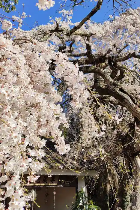 能満寺の建物その他