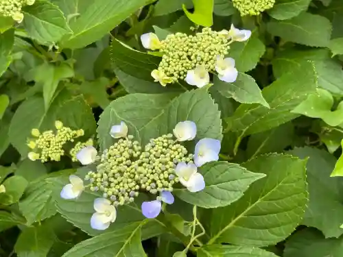長野縣護國神社(長野県)