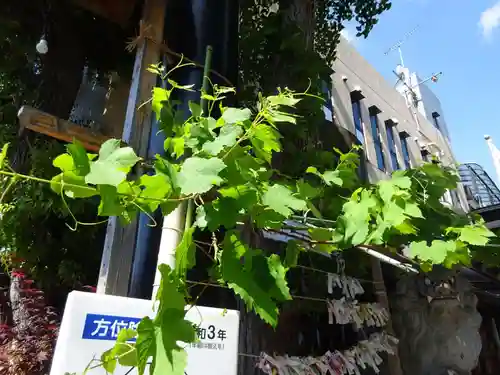 菊名神社の自然