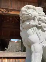 大歳神社の狛犬