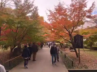 淨眞寺(東京都)