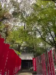 養樹院(圓通庵）(東京都)