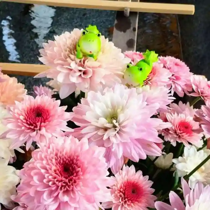 彌彦神社 (伊夜日子神社)の手水舎