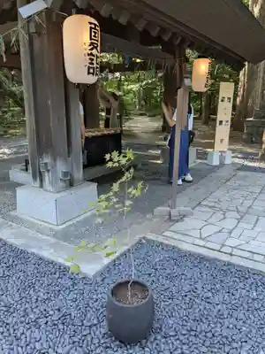 帯廣神社の手水舎