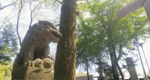 神明社の狛犬