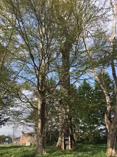 角田神社の自然