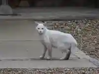 三輪神社の動物