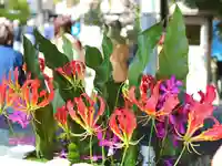 三津厳島神社の手水舎