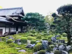 金剛寺(大阪府)