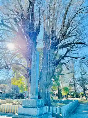鑁阿寺の{uncategorized: "未分類", other: "その他", undefined: "問題あり", building: "その他建物", grave: "お墓", sacred_gate: "鳥居", guardian: "狛犬", statue: "像", buddha: "仏像", history: "歴史", nature: "自然", garden: "庭園", animal: "動物", pagoda: "塔", temizu: "手水舎", mountain_gate: "山門・神門", sanctuary: "本殿・本堂", subordinate: "末社・摂社", art: "芸術", scenery: "景色", jizo: "地蔵", ema: "絵馬", goshuin: "御朱印", omikuji: "おみくじ", items: "授与品その他", amulet: "お守り", goshuincho: "御朱印帳", eats: "食事", festival: "お祭り", votive_dance: "神楽", shichigosan: "七五三参", wedding: "結婚式", experience: "体験その他", initially: "初詣", around: "周辺", anti_infection: "感染症対策"}