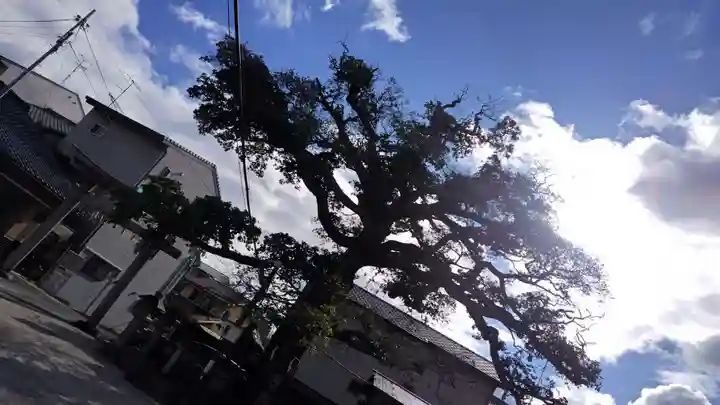 櫟谷七野神社(京都府)