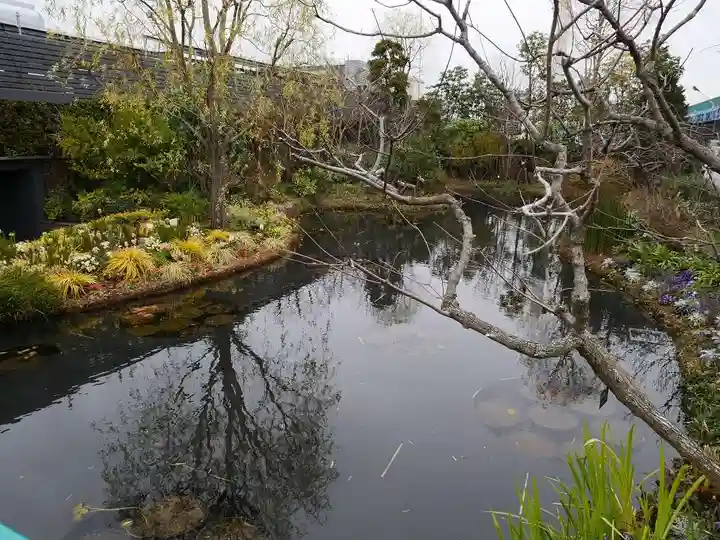 伏見稲荷神社の自然