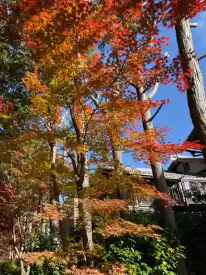 鹿王院(京都府)