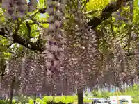 童学寺(徳島県)