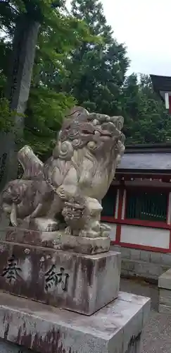 冨士御室浅間神社の狛犬