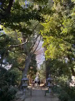 一山神社の{uncategorized: "未分類", other: "その他", undefined: "問題あり", building: "その他建物", grave: "お墓", sacred_gate: "鳥居", guardian: "狛犬", statue: "像", buddha: "仏像", history: "歴史", nature: "自然", garden: "庭園", animal: "動物", pagoda: "塔", temizu: "手水舎", mountain_gate: "山門・神門", sanctuary: "本殿・本堂", subordinate: "末社・摂社", art: "芸術", scenery: "景色", jizo: "地蔵", ema: "絵馬", goshuin: "御朱印", omikuji: "おみくじ", items: "授与品その他", amulet: "お守り", goshuincho: "御朱印帳", eats: "食事", festival: "お祭り", votive_dance: "神楽", shichigosan: "七五三参", wedding: "結婚式", experience: "体験その他", initially: "初詣", around: "周辺", anti_infection: "感染症対策"}