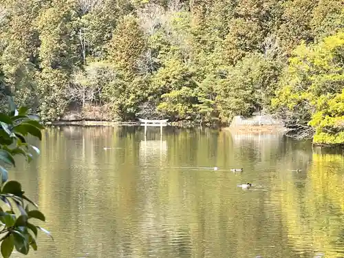 八幡神社(滋賀県)
