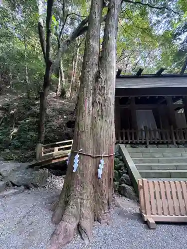 多度大社(三重県)