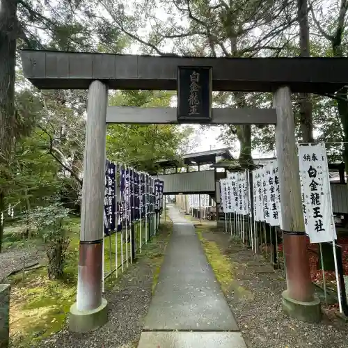 白金龍王社の{uncategorized: "未分類", other: "その他", undefined: "問題あり", building: "その他建物", grave: "お墓", sacred_gate: "鳥居", guardian: "狛犬", statue: "像", buddha: "仏像", history: "歴史", nature: "自然", garden: "庭園", animal: "動物", pagoda: "塔", temizu: "手水舎", mountain_gate: "山門・神門", sanctuary: "本殿・本堂", subordinate: "末社・摂社", art: "芸術", scenery: "景色", jizo: "地蔵", ema: "絵馬", goshuin: "御朱印", omikuji: "おみくじ", items: "授与品その他", amulet: "お守り", goshuincho: "御朱印帳", eats: "食事", festival: "お祭り", votive_dance: "神楽", shichigosan: "七五三参", wedding: "結婚式", experience: "体験その他", initially: "初詣", around: "周辺", anti_infection: "感染症対策"}