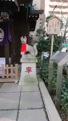 茶ノ木神社の狛犬