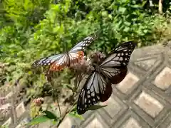 普門寺(切り絵御朱印発祥の寺)の動物