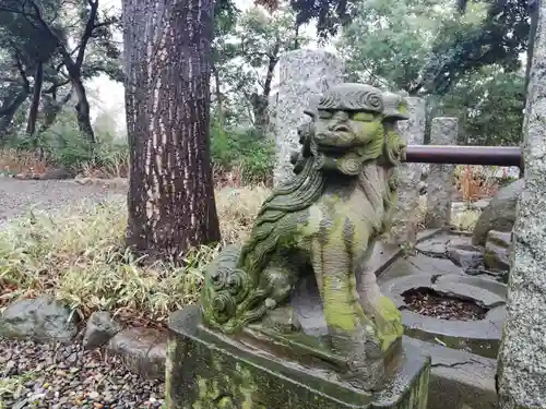 菊田神社の狛犬