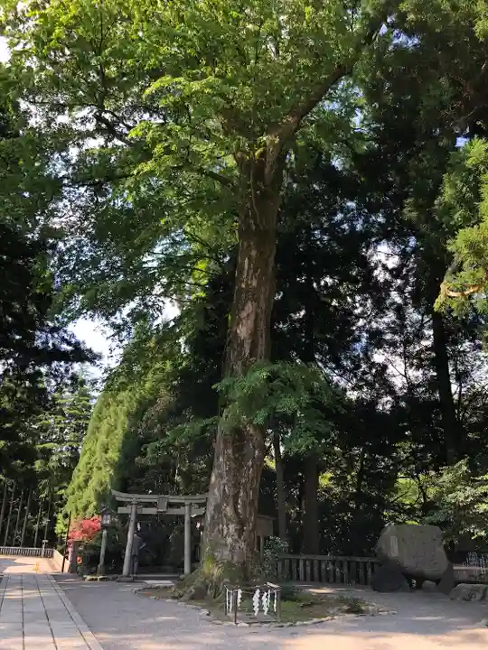 白山比咩神社のその他建物